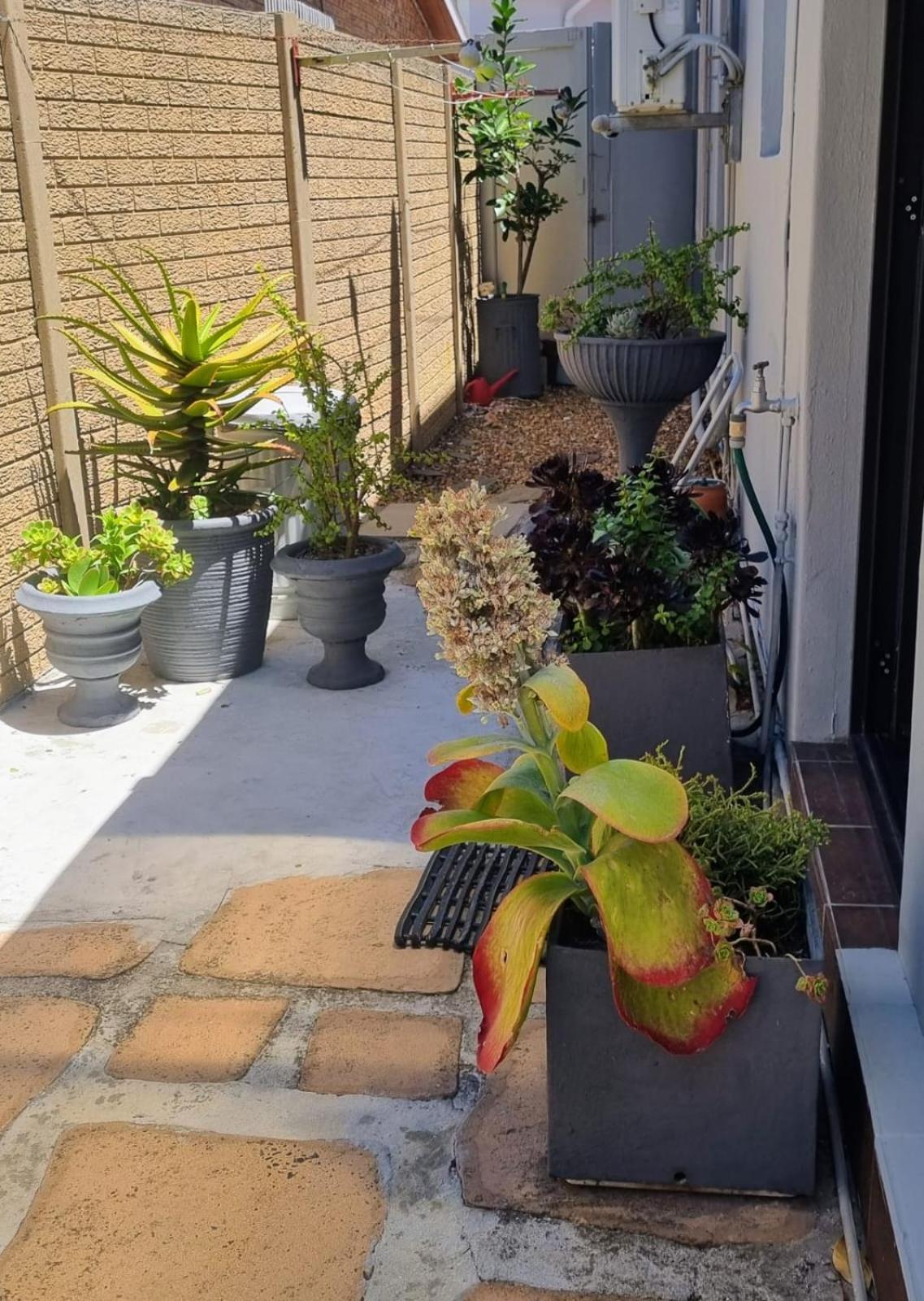 Twelveon1St Apartment Cape Town Exterior foto
